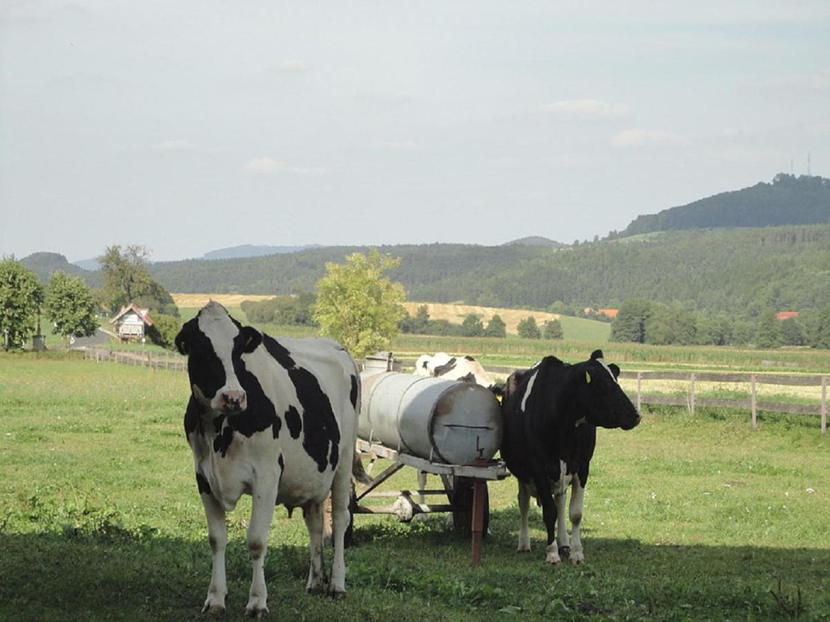 Monteurwohnungen Goeb - Nicht Fuer Urlaubsgaeste Geisa Exteriér fotografie
